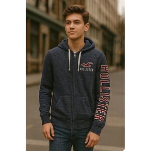 Hollister Mens Size M Grey Heather Hoodie Sweatshirt Full Zip Spell Out Sleeve